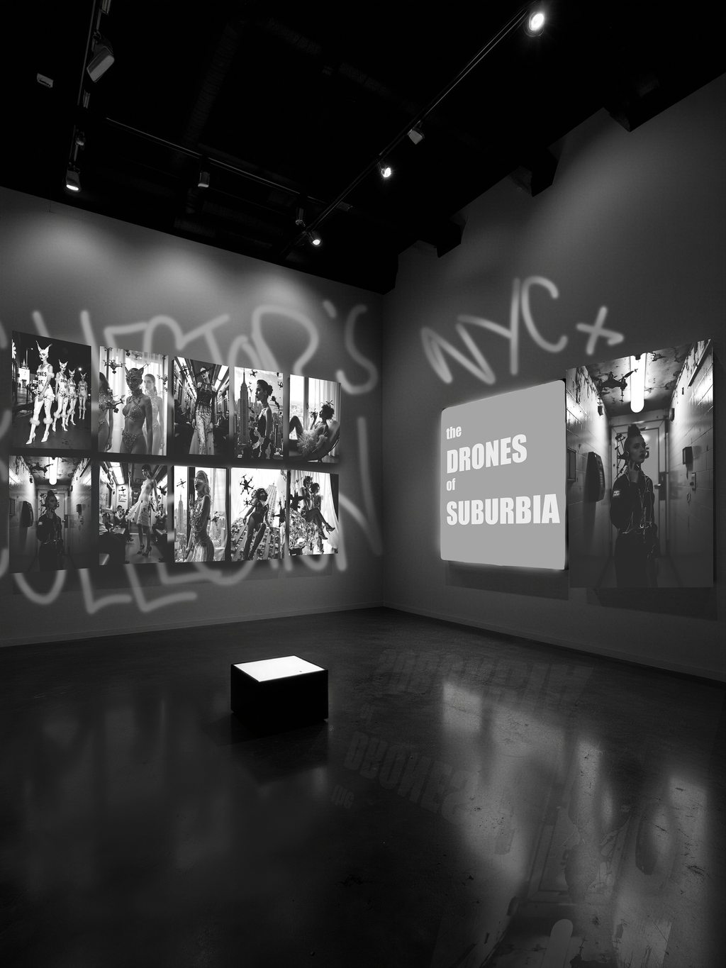 🎬 Diamond Drone Heist — 1/1 Film and Collector's Set of Prints