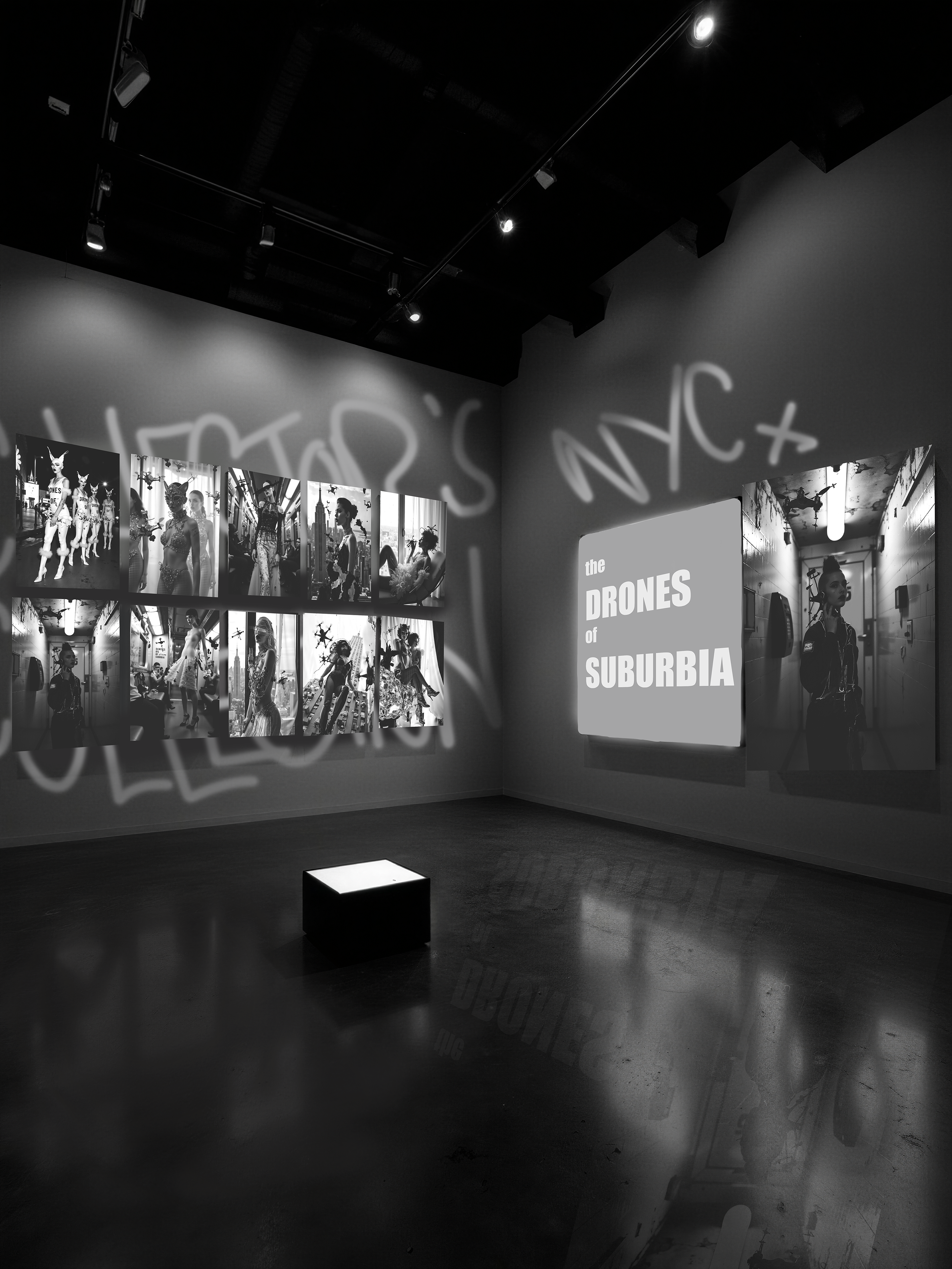 🎬 Diamond Drone Heist — 1/1 Film and Collector's Set of Prints